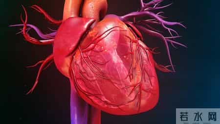 老了才明白：父母一旦超过75，立刻停止几种行为，否则晚景或凄凉