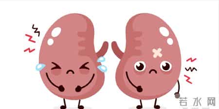 多名医生忠告：慢性肾病患者做过尿检，务必重点看这4项核心结果