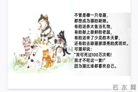 《活了100万次的猫》：孩子读的是故事，妈妈读的是人生