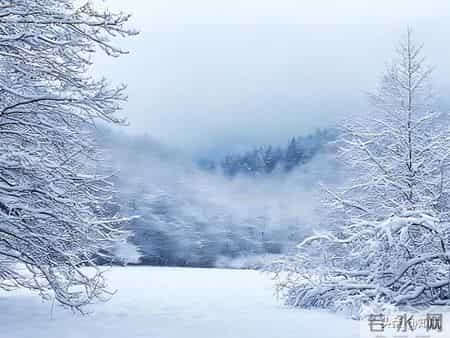 做人一定要学点江湖手段，这样才没人敢招惹你