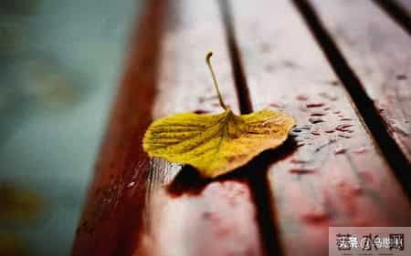 总被某些人耗尽精力，越讨厌越被操控？我做了个意外决定