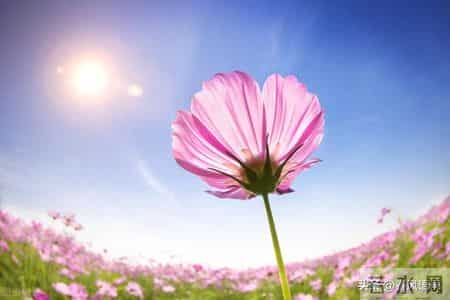 晚年独居，备好这三样“救命物”，比子女在身边更安心！