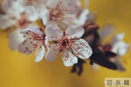 人老了最后一张底牌，大多数人都没想到，保住了就是厉害的老人