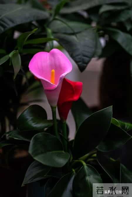 人到晚年，守住这几样才是真福气