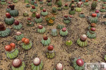 如果你到了六十，还在奔波打工，我想对你说几句真心话。