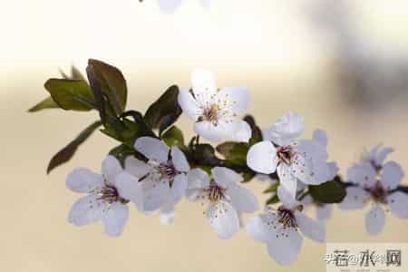 人老了才明白，对待孙辈，爷爷奶奶要记住四不原则，很管用