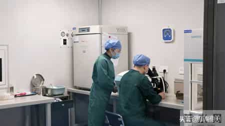 信阳首例“试管婴儿”在罗山县人民医院平安诞生