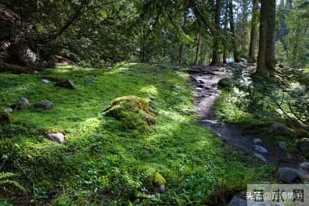 改变一个孩子最有效的手段，不是讲道理、发脾气，而是这两个字