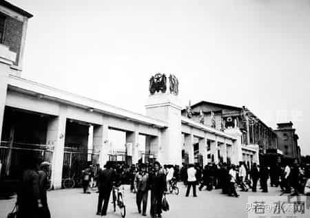 别太操心你的孩子，他的人生自有自己的轨迹