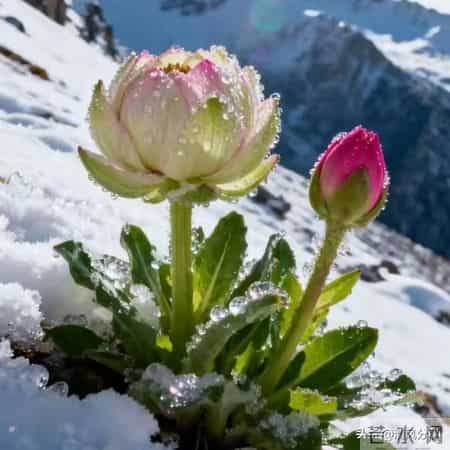 接住！福报到家，给孩子接2026一顺百顺，这样做，事事都顺！