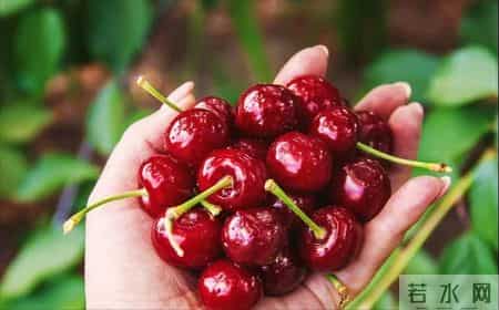 车厘子再引热议！医生：糖尿病患者吃它，务必多重视这 3 点