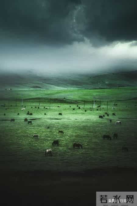 我70岁丧偶，独居五个月后才明白：失去伴侣的晚年生活，真没意思