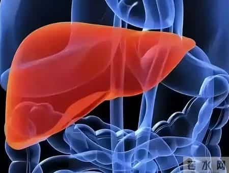 吃他汀，多长时间查一次血脂？医生：按照这个标准走就可以