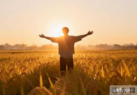 光努力没用！“见龙在田，利见大人”，你的才华才不会烂在肚子里