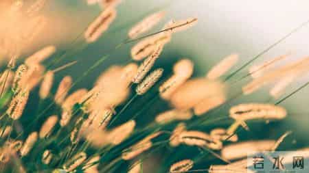 生存期短的癌症，大多有这4个共同点！这一个很多人都容易忽视