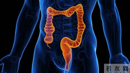 你有睡前吃苹果的习惯吗？医生指出：睡前吃苹果，这4个好处明显