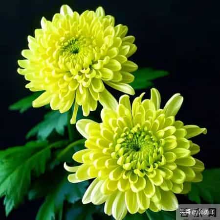 人老了,攒钱再多又如何这三件才最值钱