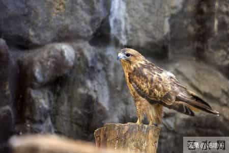 子女最大的悲哀，不是父母退休金低，而是父母60多岁有这八种行为