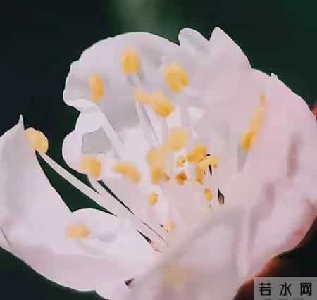 如果你已经60岁了，还可以做到下面这几点，那你真的是有福的老人