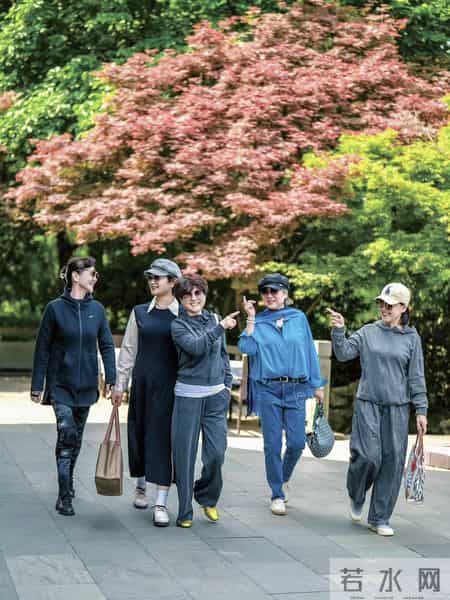 那些不慌不忙的日子，才是晚年最好的模样