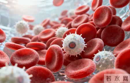 癌症最怕：8种“碱性食物”要常吃！激活免疫力，抵抗体内癌细胞