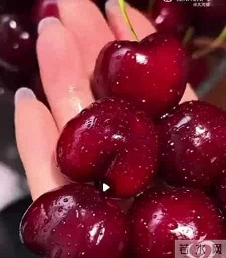 浙江2岁幼童连吃15颗车厘子，紧急送医！提醒：普通人一天不能超过这个量