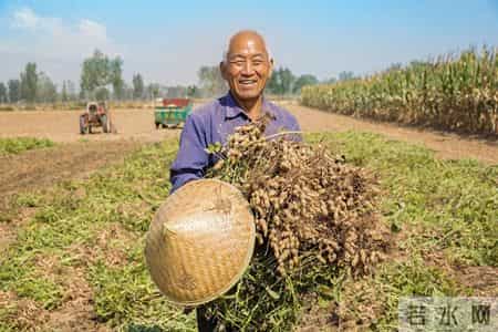 花生再次被关注！研究表明：糖尿病常吃花生，不过半年或有 5 好处