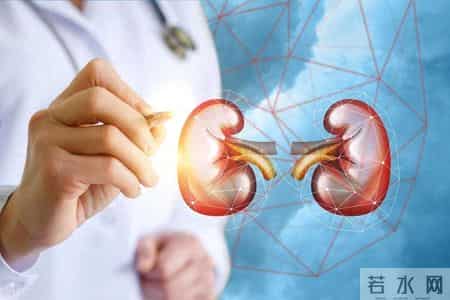 体检发现 3 项指标异常？大概率是慢性肾病早期前兆，别忽视早检查