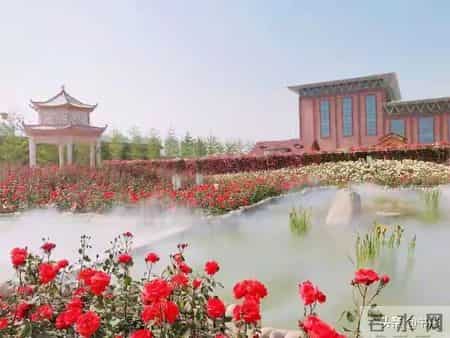 退休后才明白，50到59岁的人，2026年最好的生活方式：只有三种