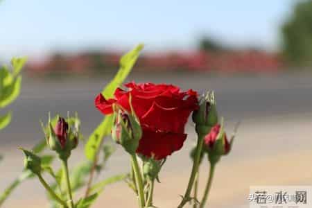 你以为60岁女性都安分？其实过了60岁，女人普遍有这7大隐秘变化