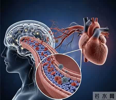 洗澡可能影响寿命！医生再次提醒：68岁以后，牢记洗澡“4不要”