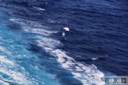 熬得过山重水复，岁月自会赠你柳暗花明