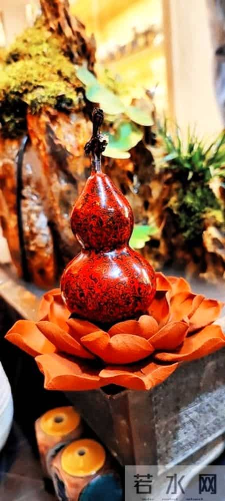 家有神兽赶紧进来接，头顶繁星脚下生春风，这泼天的富贵必须收！