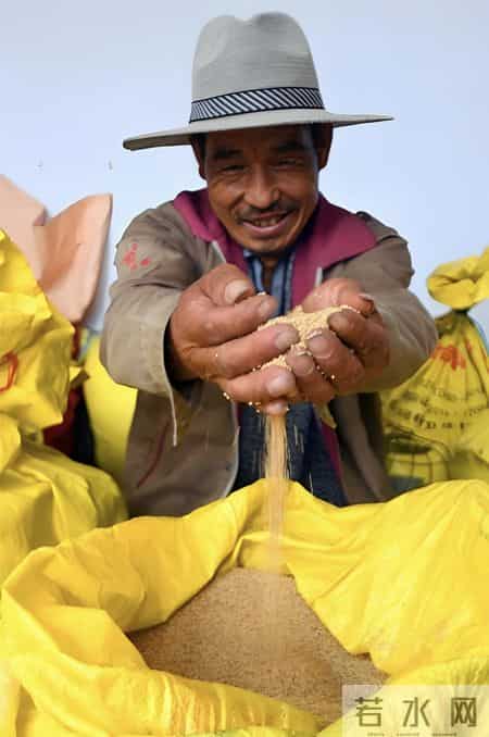 捡瓶换菜钱的山河四省：三亿人的困局，破局只靠这3条路