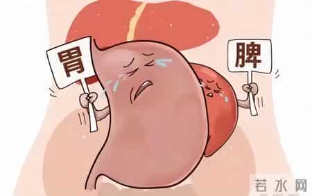 不管你有多虚，记住一个中成药，脾胃好了，肾气足了