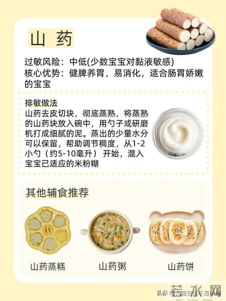 宝宝辅食排敏指南