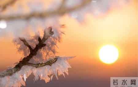 2026春节，暖到离谱！大年初一撞七九，医生：冠心病人的春天来了