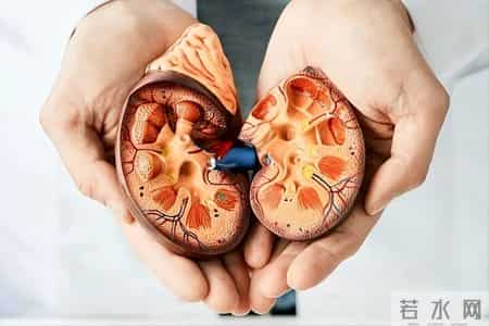 人有没有肾病，看喝水就知？医生：有肾病的人，喝水多会有8异常