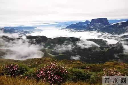 候鸟旅居养老，这些“坑”踩中一个，可能给你晚景添堵！