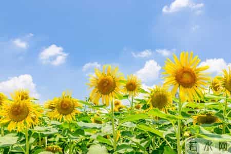 2026，你家孩子的“圆满”，早有伏笔