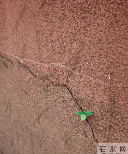 行政事业编为啥能100%计发养老金没缴费的工龄也认真相藏在关键里