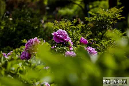 普通人最好的活法是58岁能存下10万存款，58岁后保重身体安度晚年