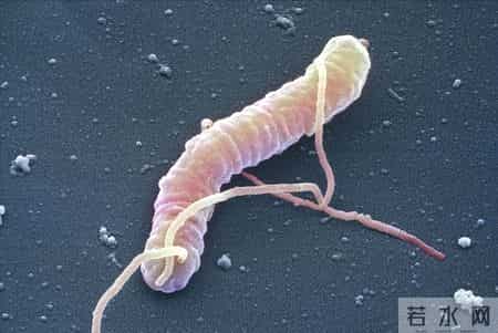 人不会莫名其妙生胃病？发现：有胃病的人，背后可能有三个缘由