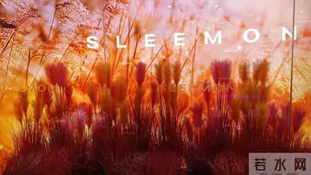 宝贝孙子 ，孙女成长必备