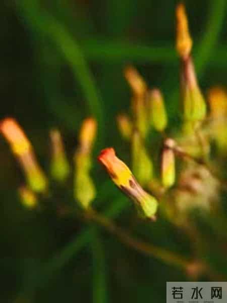 《养娃开运小妙招：明天做对3件小事，孩子悄悄变幸运》