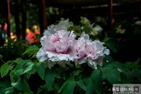 普通人最好的活法是58岁能存下10万存款，58岁后保重身体安度晚年