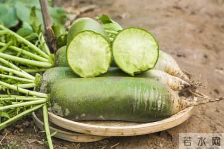 医生发现：糖尿病患者若常吃萝卜，不用多长时间，或有5大好处