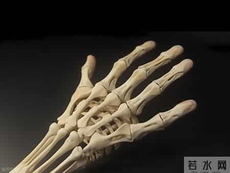 人过50岁，骨骼健康很容易亮起"预警灯"！长期补充这3样东西，帮你防治骨质疏松、强健骨骼