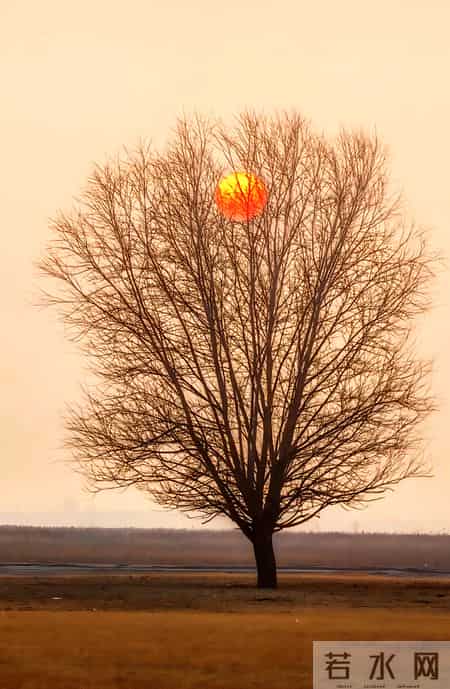 人到老都不能犯的三个大忌：