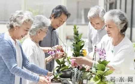 能在养老院过得舒坦的老人，90%都符合这1个特征！